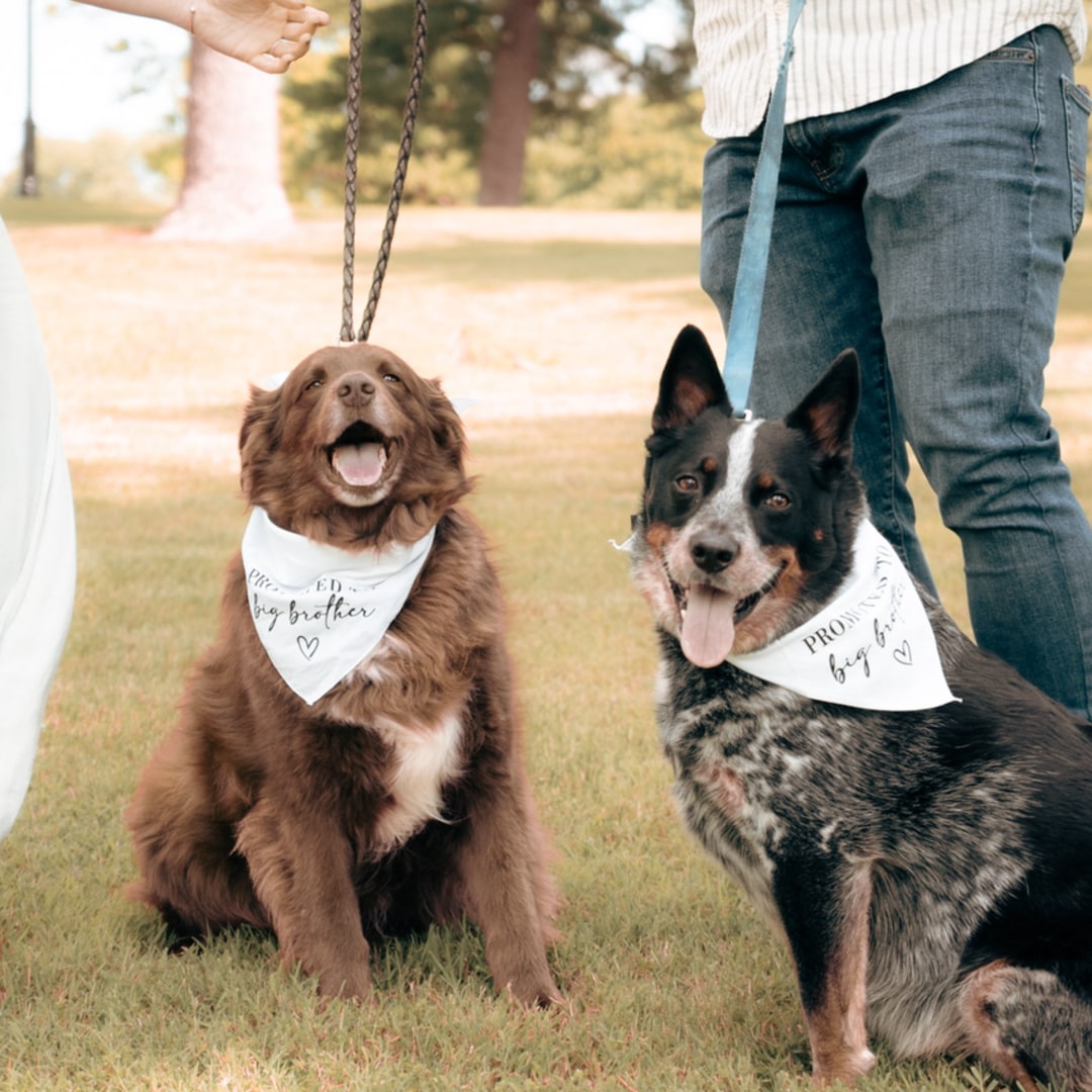 Photo shared by Alexis for their Babylist baby registry.