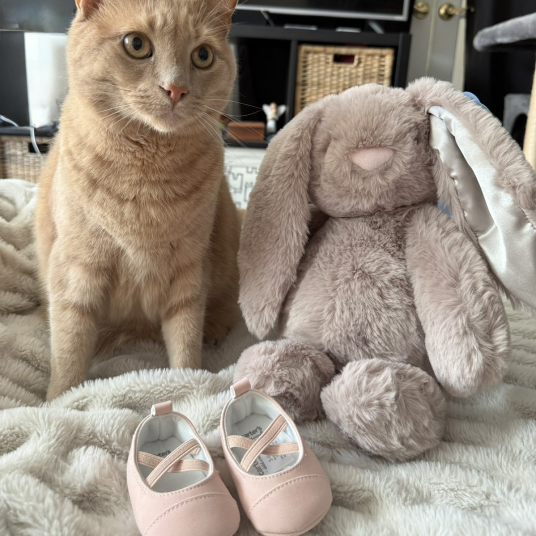 Photo shared by Amber for their Babylist baby registry.
