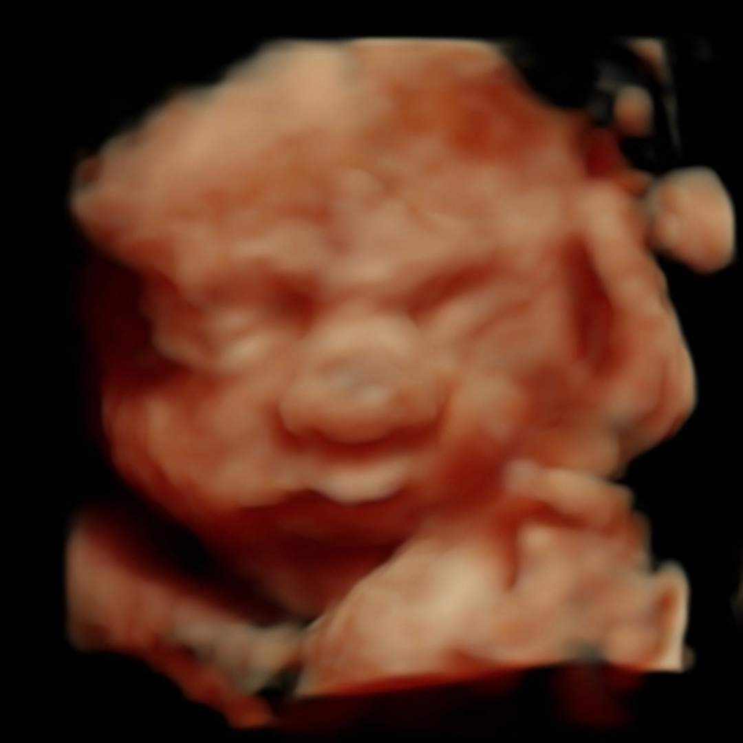 Photo shared by Makayla for their Babylist baby registry.