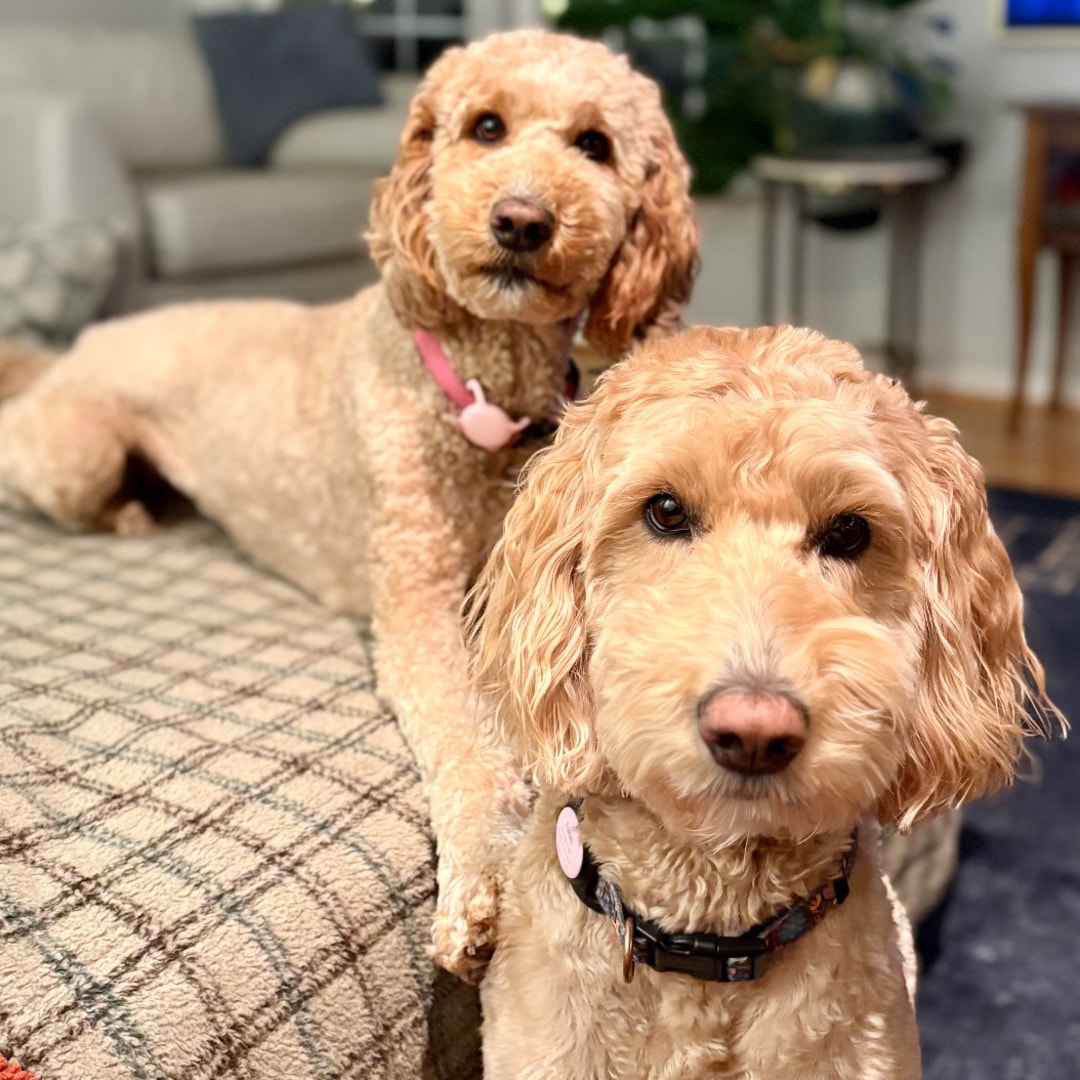 Photo shared by Courtney for their Babylist baby registry.