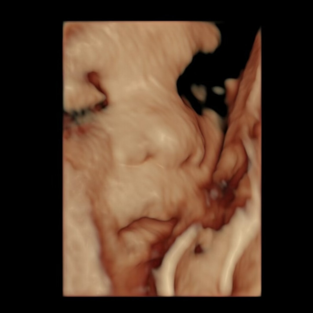 Photo shared by Heaven for their Babylist baby registry.