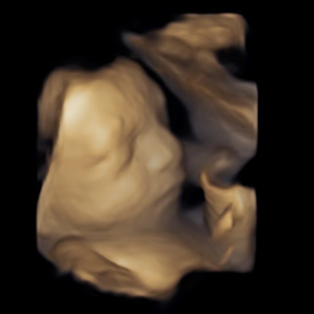 Photo shared by Hannah for their Babylist baby registry.