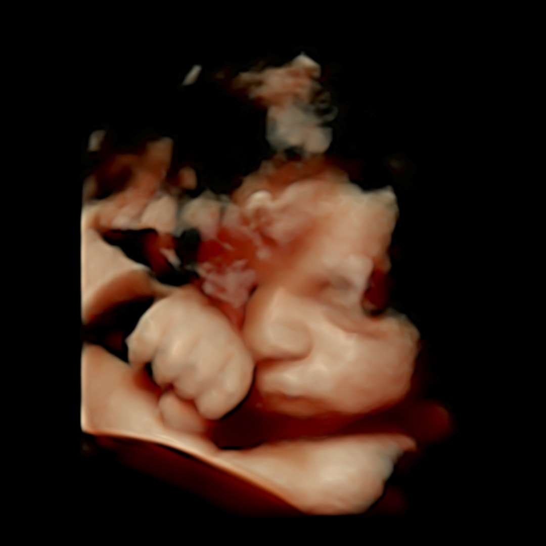 Photo shared by Kelli for their Babylist baby registry.