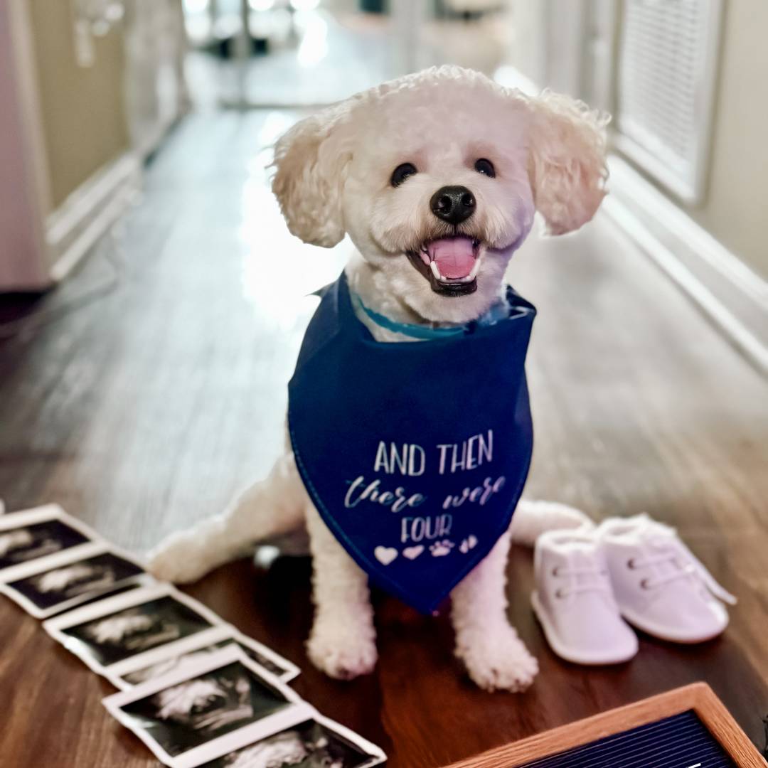Photo shared by Jonica for their Babylist baby registry.