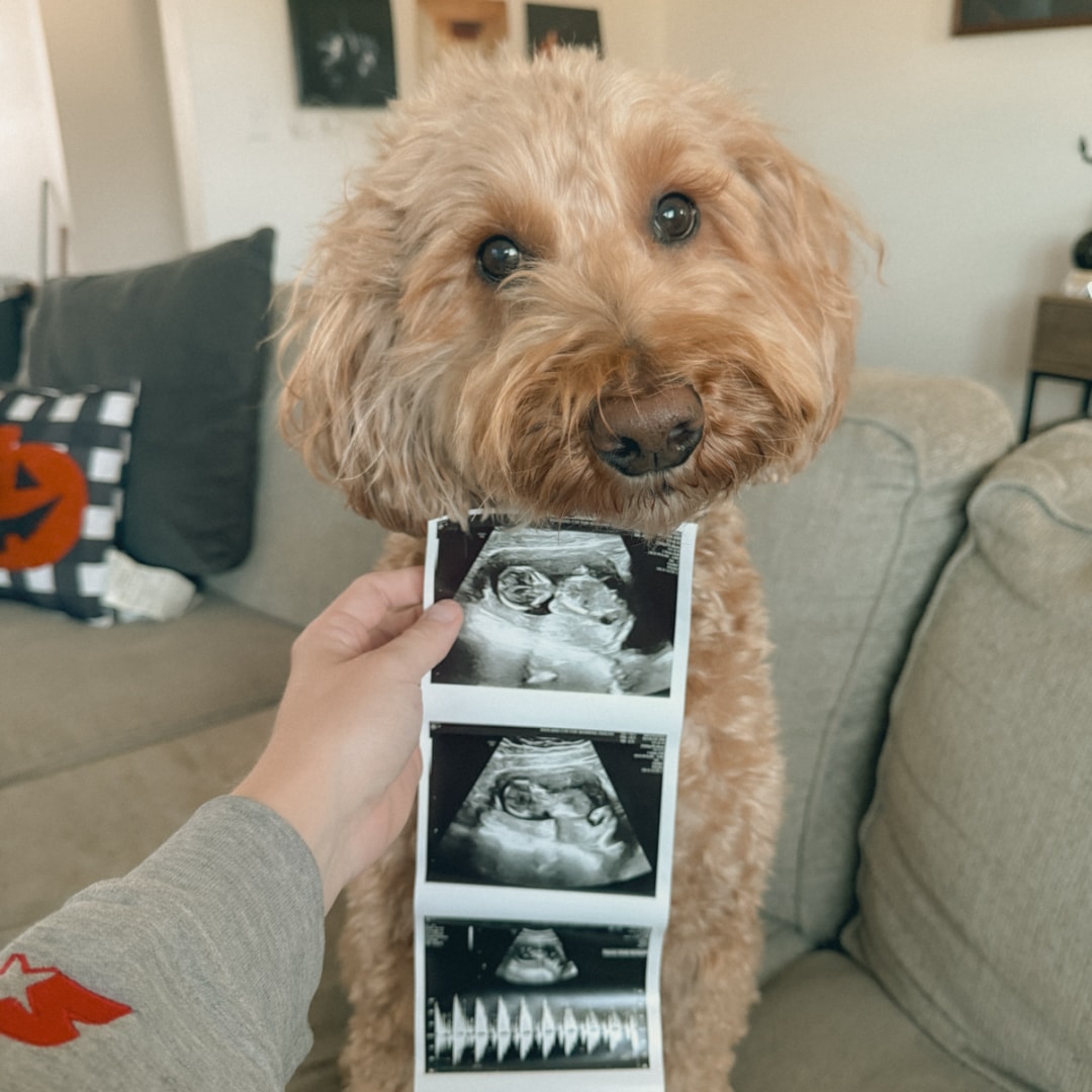 Photo shared by Hannah for their Babylist baby registry.