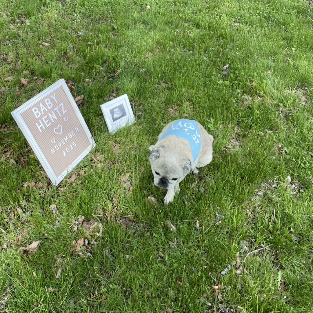 Photo shared by Elyssa for their Babylist baby registry.