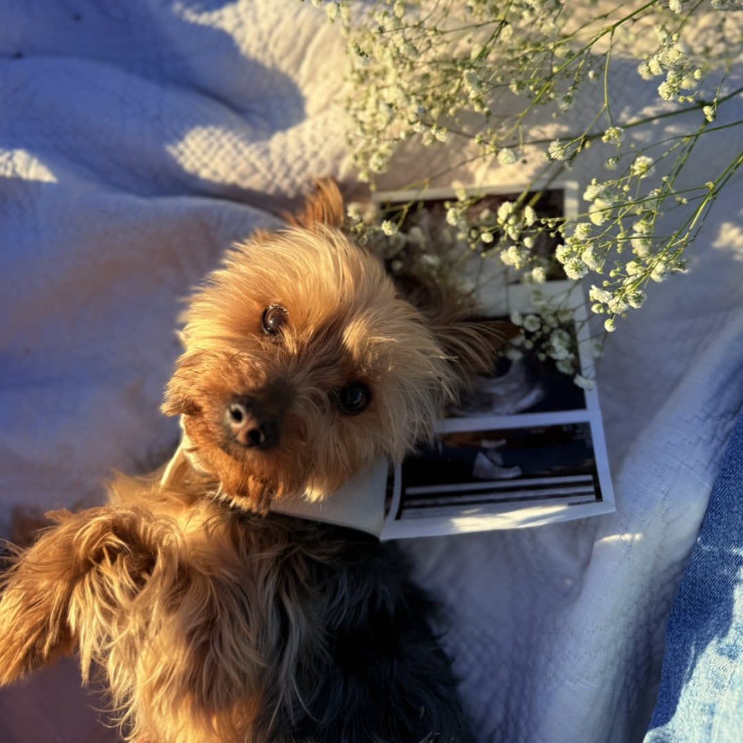 Photo shared by Aubrey for their Babylist baby registry.