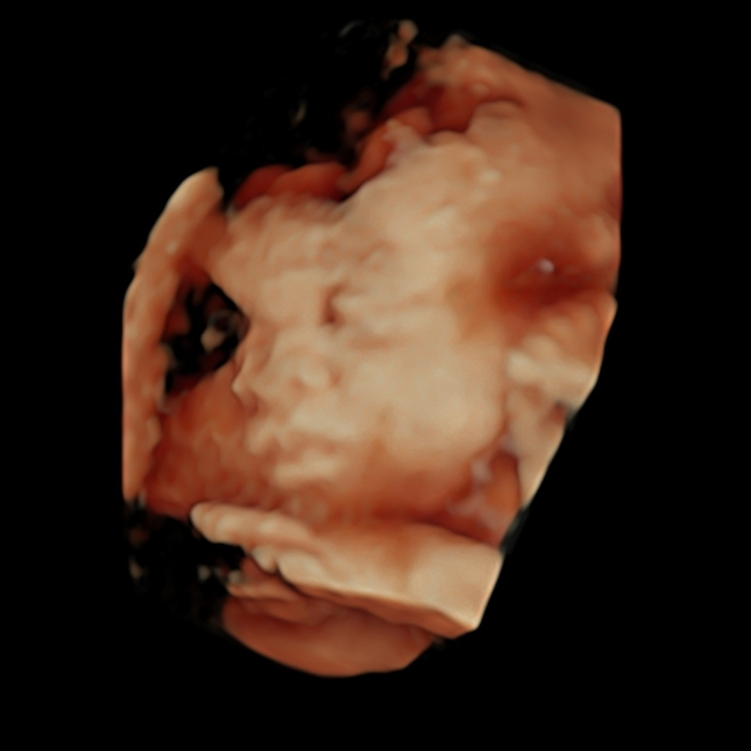 Photo shared by Jezika for their Babylist baby registry.