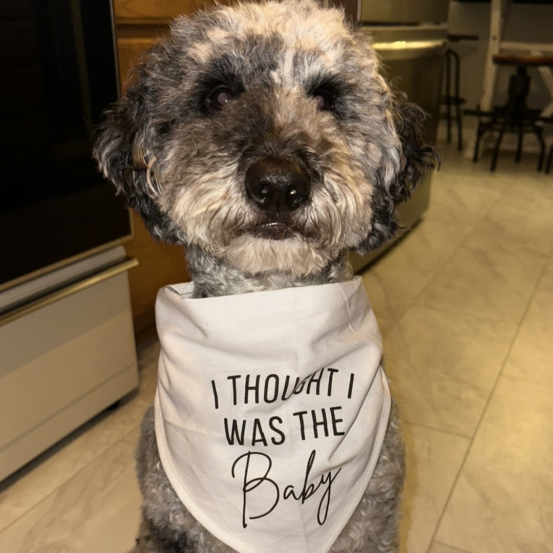 Photo shared by Emma for their Babylist baby registry.