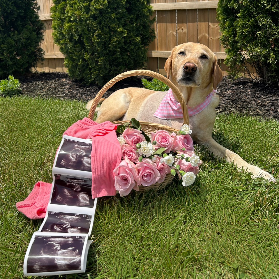 Photo shared by Edie for their Babylist baby registry.