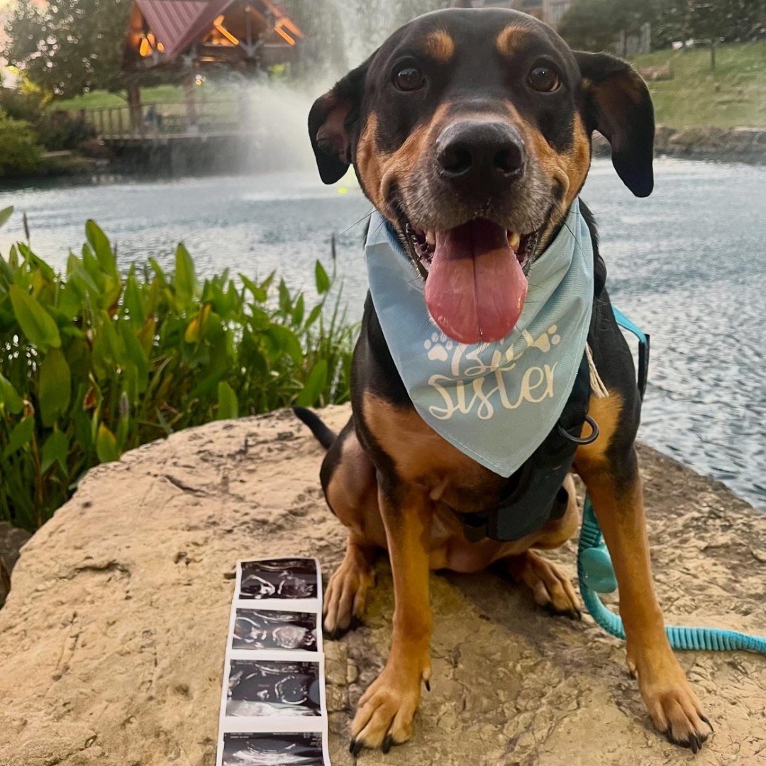 Photo shared by Emily for their Babylist baby registry.