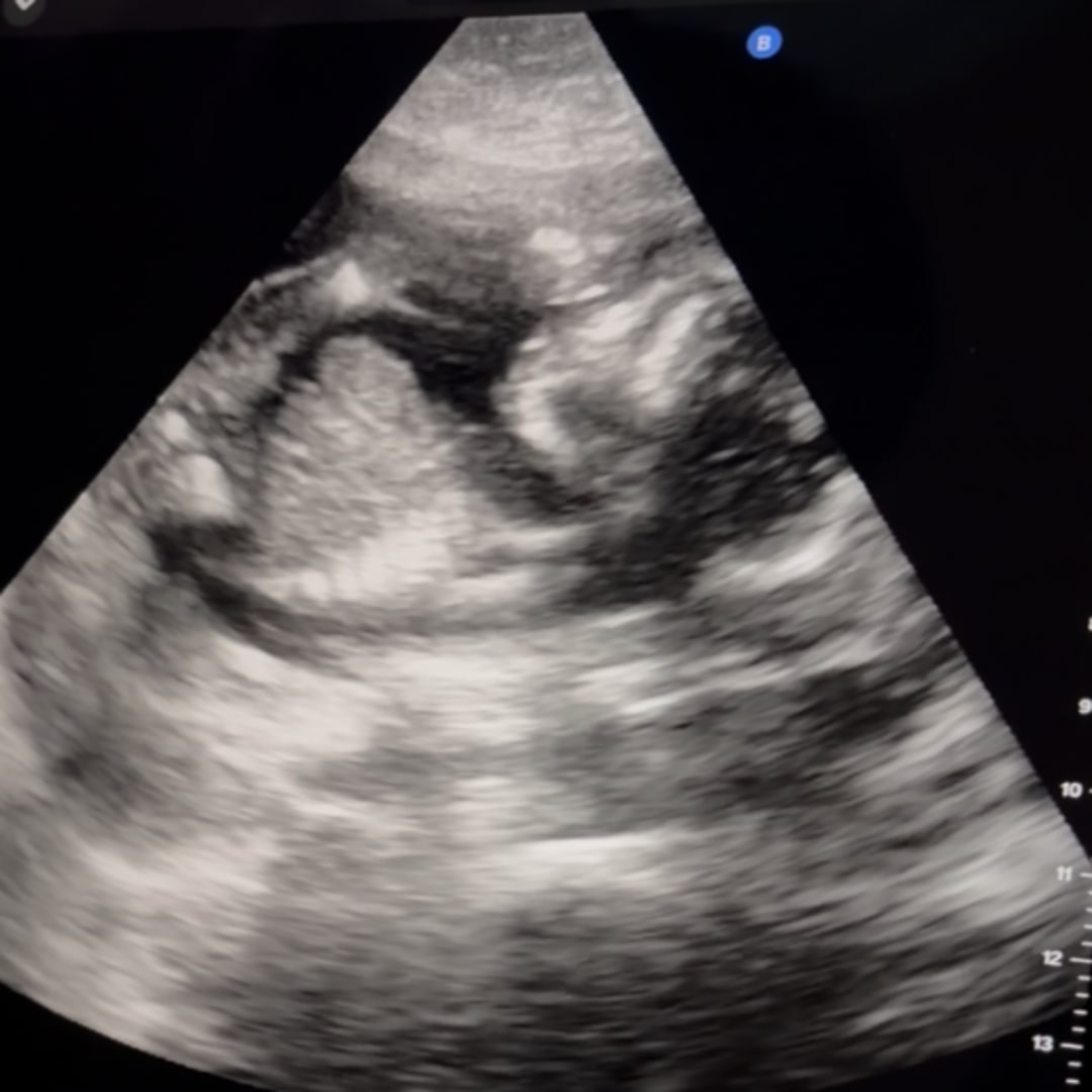 Photo shared by Azaree for their Babylist baby registry.