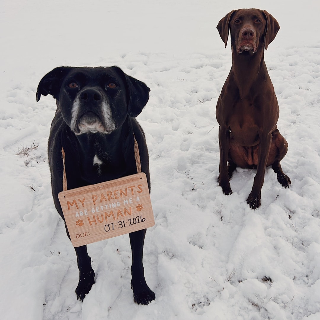 Photo shared by Anna for their Babylist baby registry.