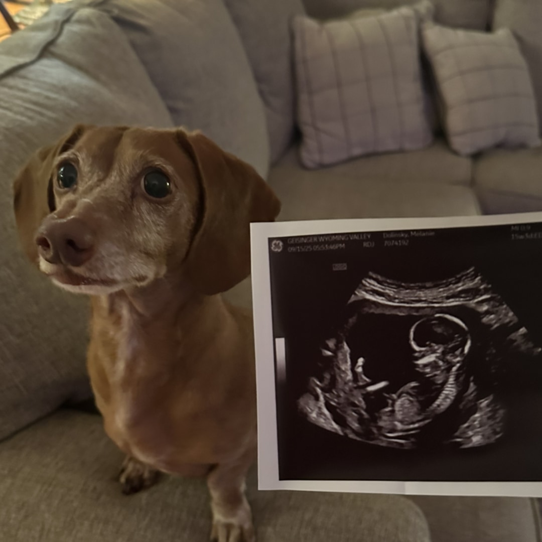 Photo shared by Melanie for their Babylist baby registry.