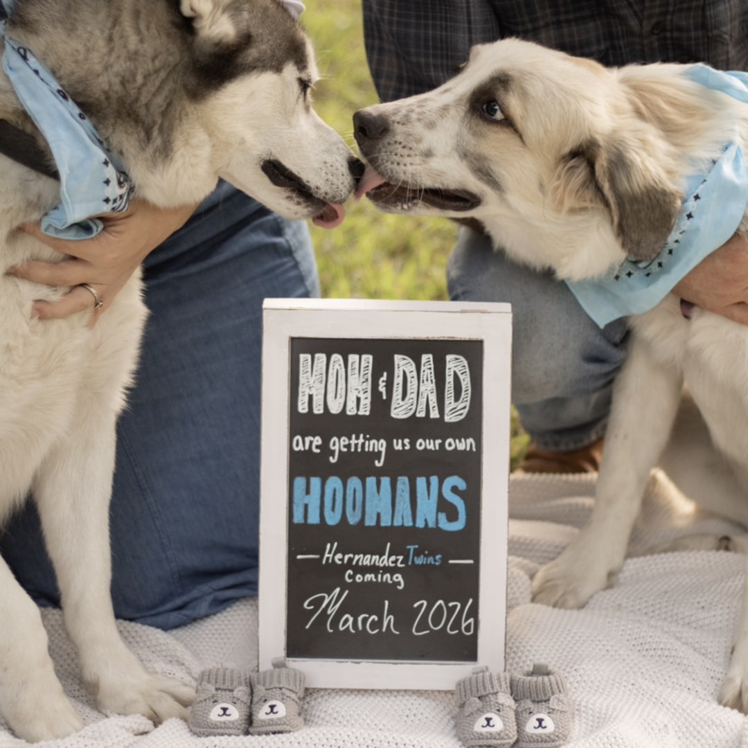 Photo shared by Alyssia & Michael for their Babylist baby registry.