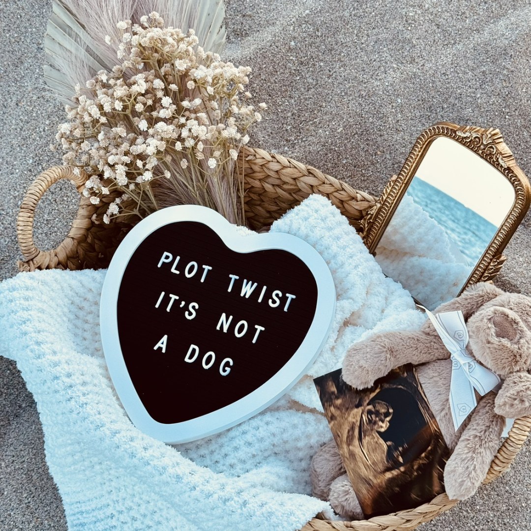 Photo shared by Alyssa for their Babylist baby registry.