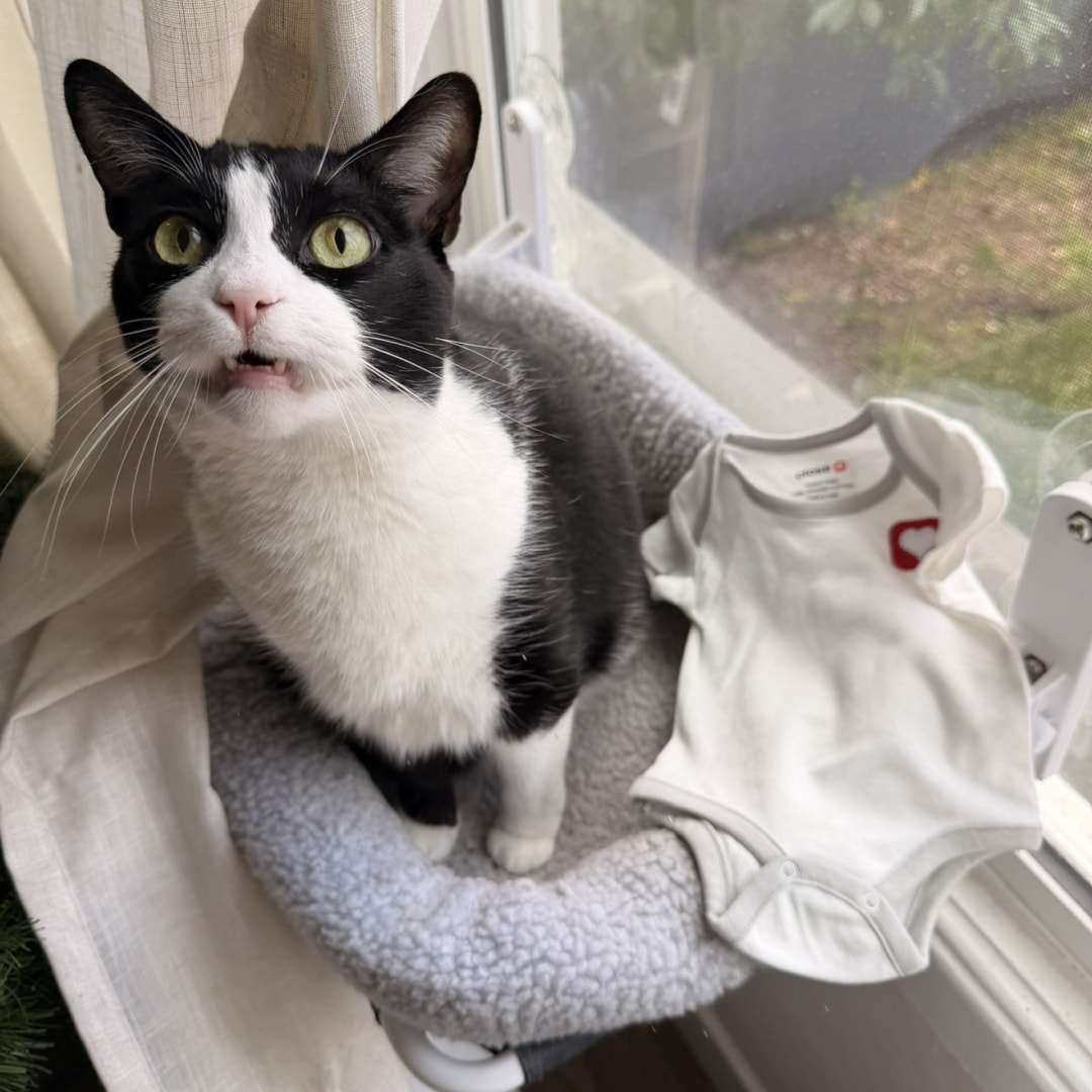 Photo shared by Dani for their Babylist baby registry.