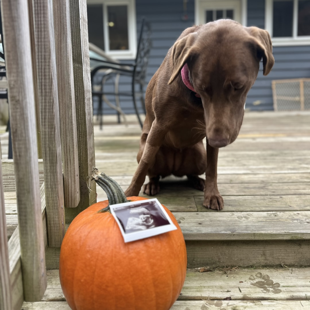 Photo shared by Katie for their Babylist baby registry.