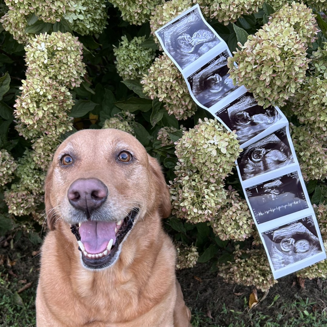 Photo shared by Cassidy for their Babylist baby registry.