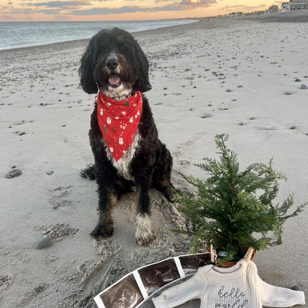 Photo shared by Shannon for their Babylist baby registry.