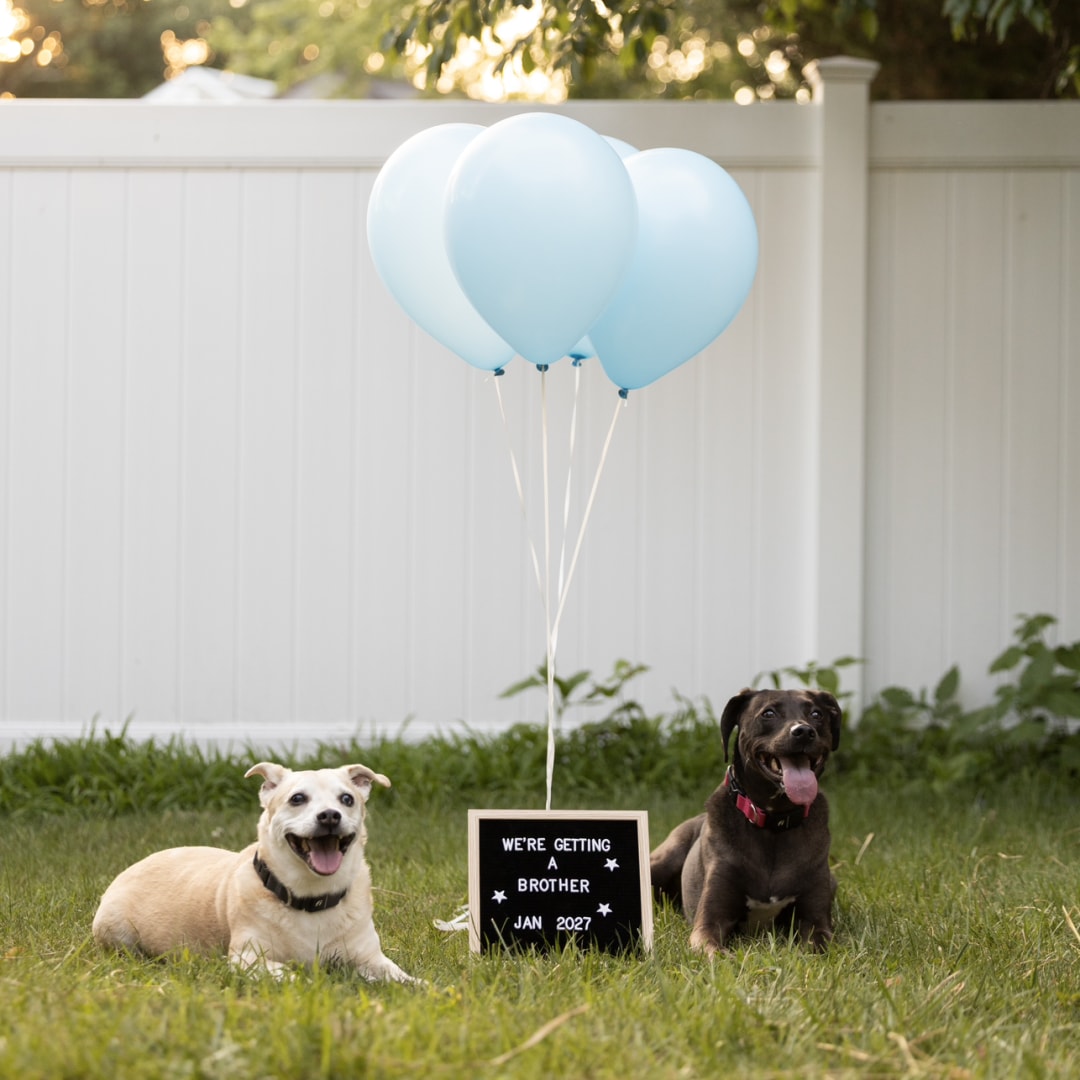 Photo shared by Ankeeta for their Babylist baby registry.
