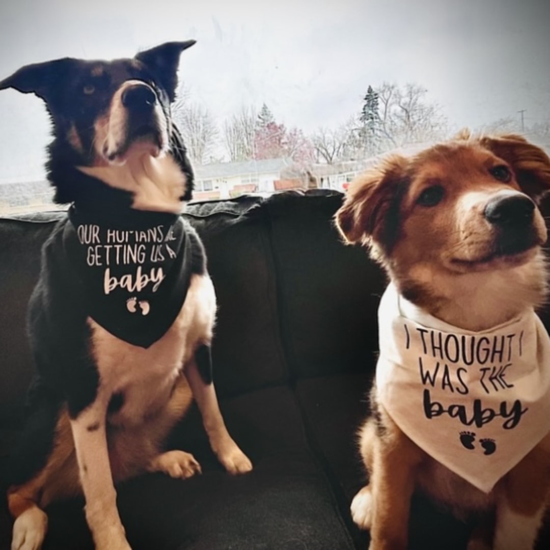 Photo shared by Sarah for their Babylist baby registry.