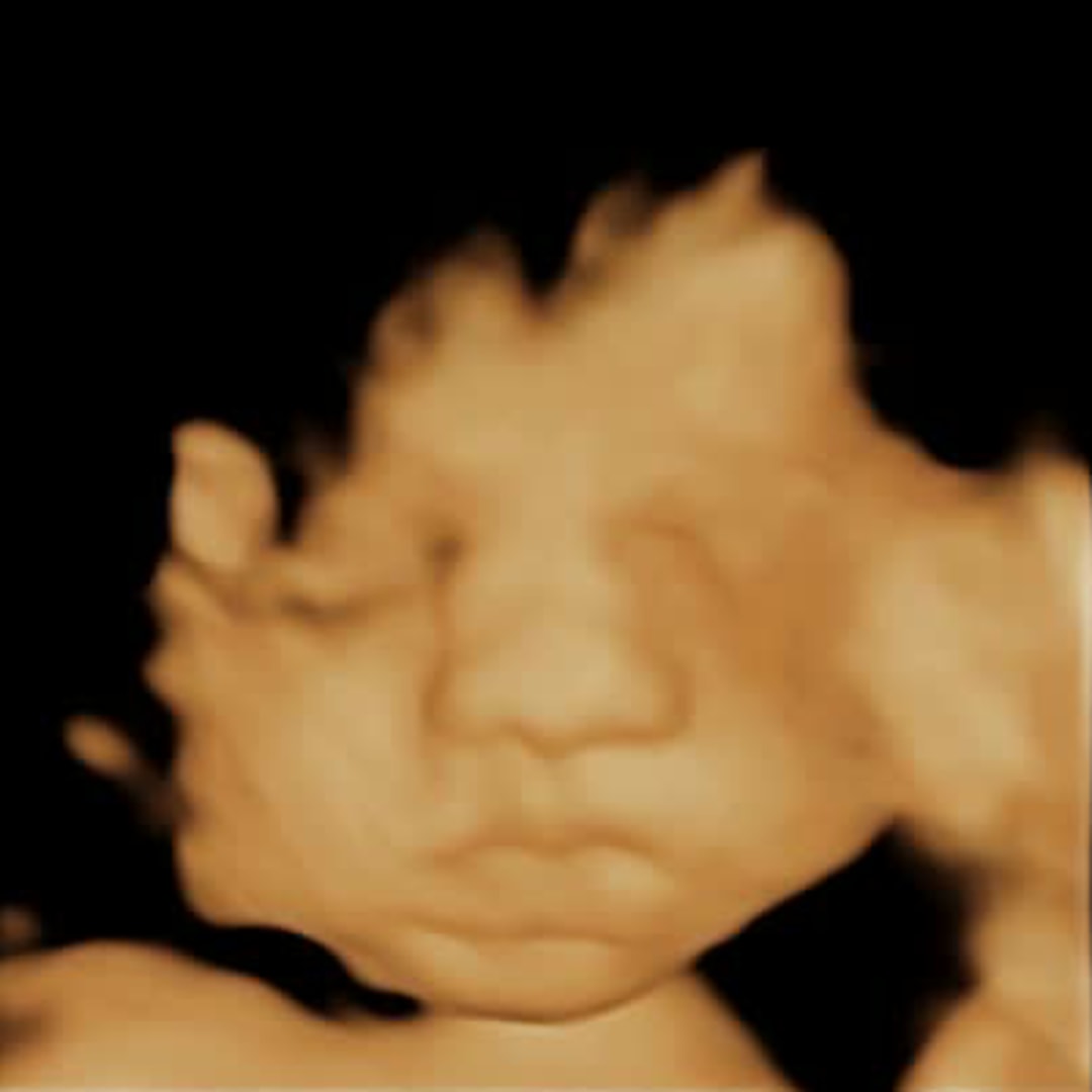 Photo shared by Hannah for their Babylist baby registry.