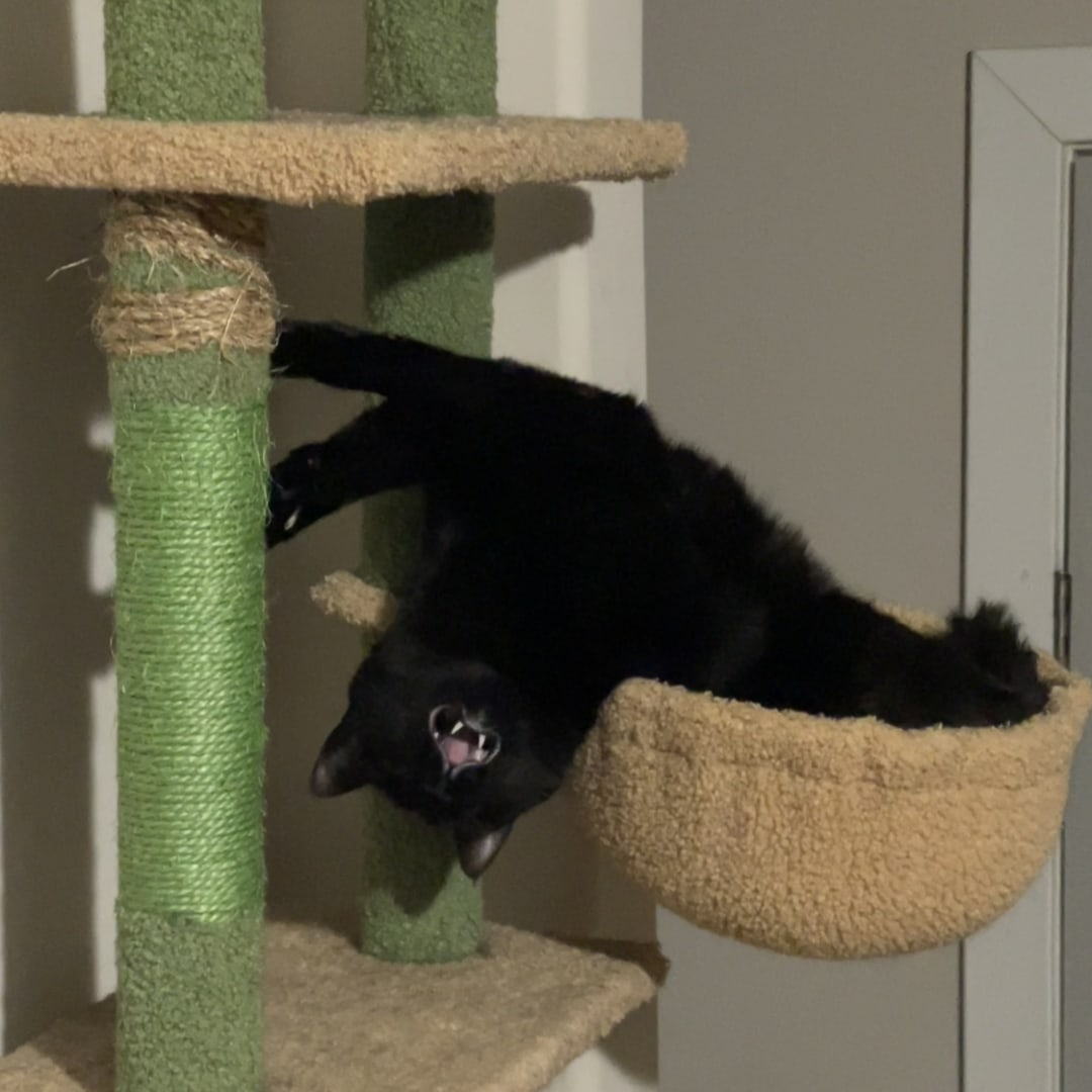 Photo shared by Claudia for their Babylist baby registry.