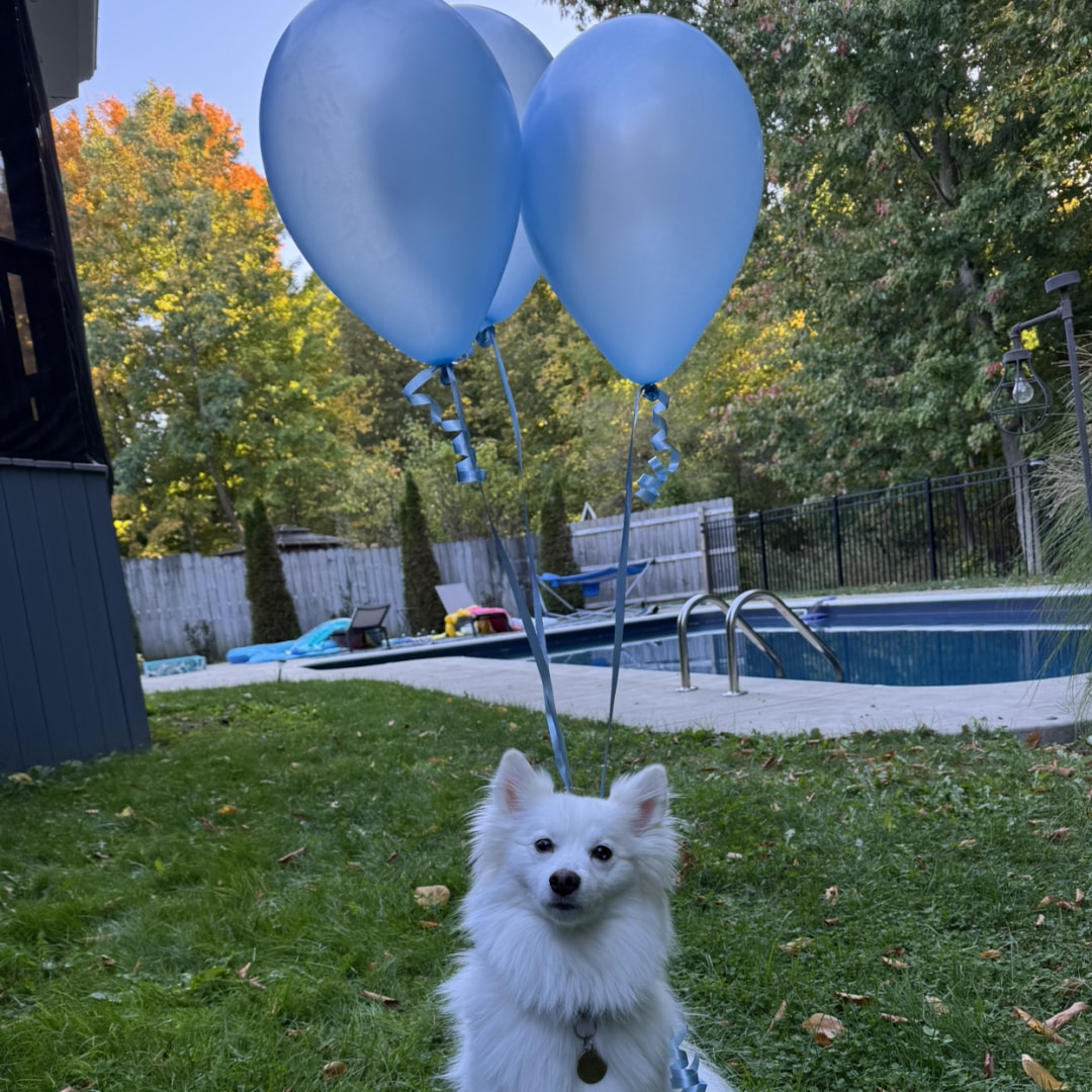 Photo shared by Jenna for their Babylist baby registry.