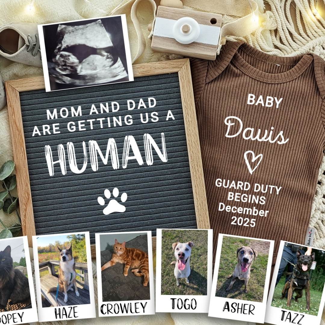 Photo shared by KELSEY for their Babylist baby registry.