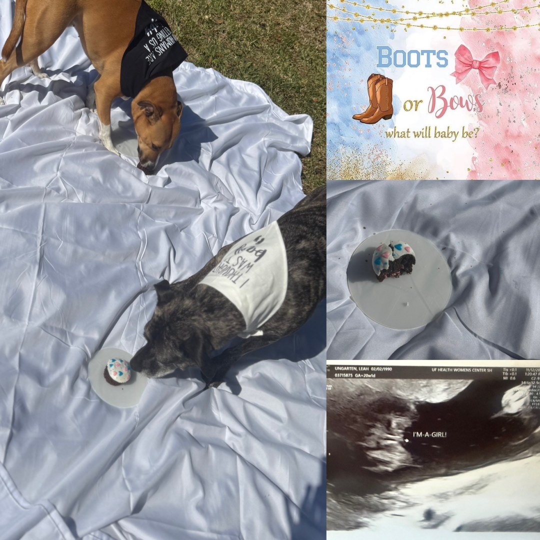 Photo shared by Leah for their Babylist baby registry.