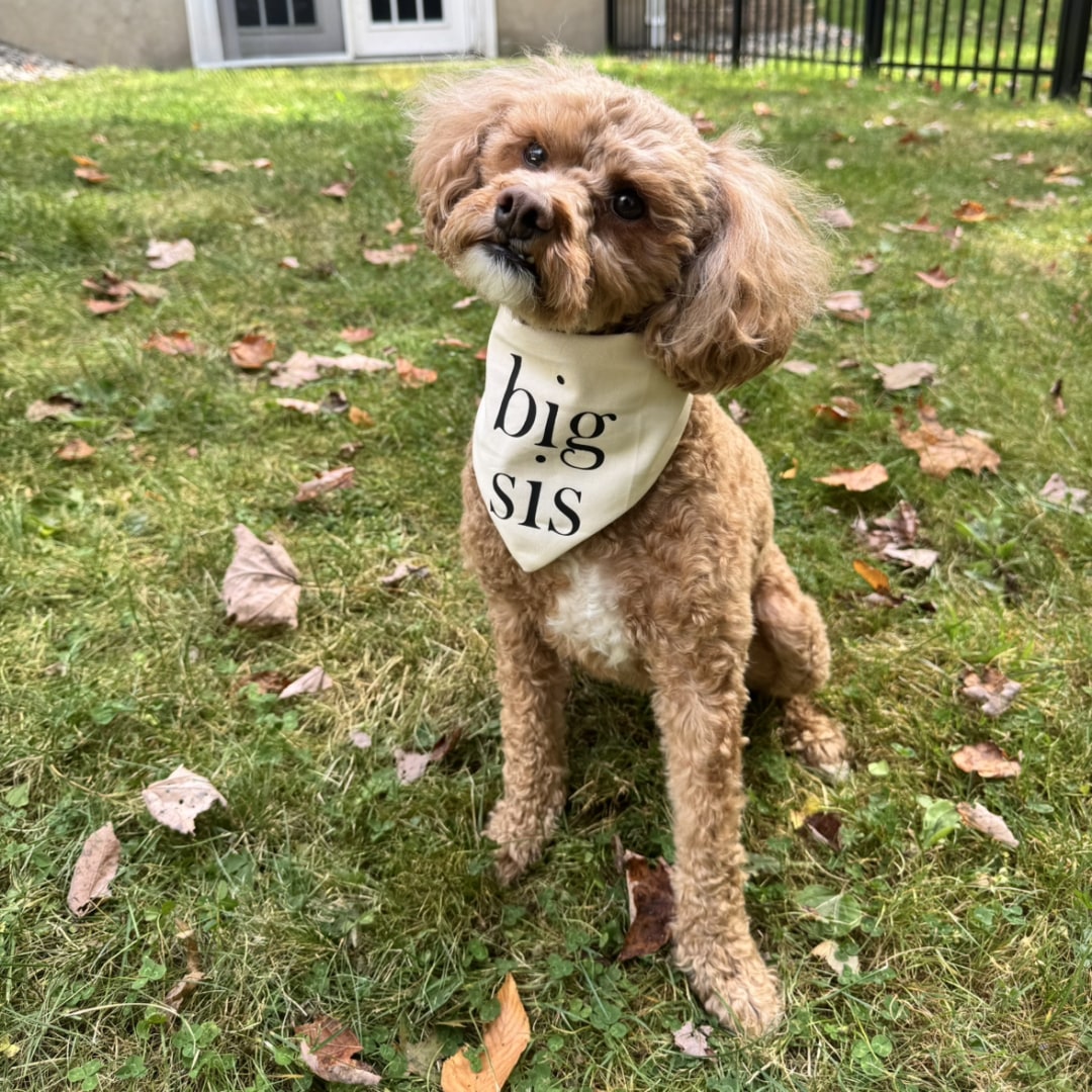 Photo shared by Amy for their Babylist baby registry.