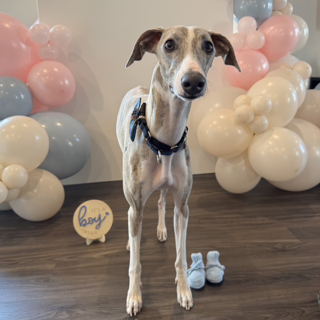 Photo shared by Madie for their Babylist baby registry.