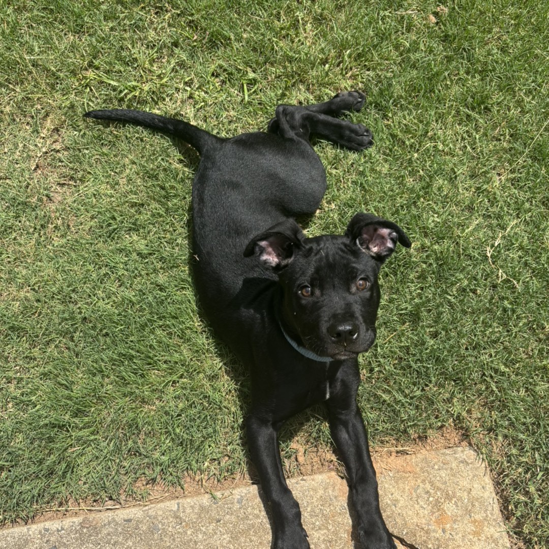 Photo shared by Amiyan for their Babylist baby registry.