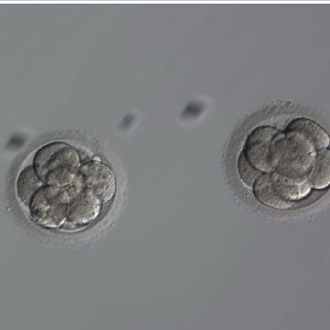 Photo shared by Grace for their Babylist baby registry.