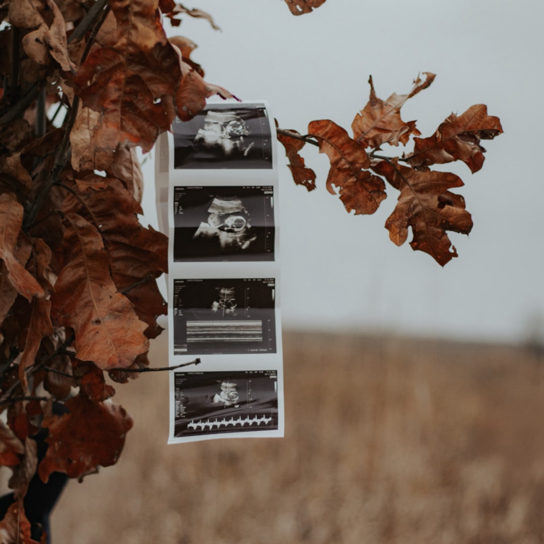 Photo shared by Sarah for their Babylist baby registry.