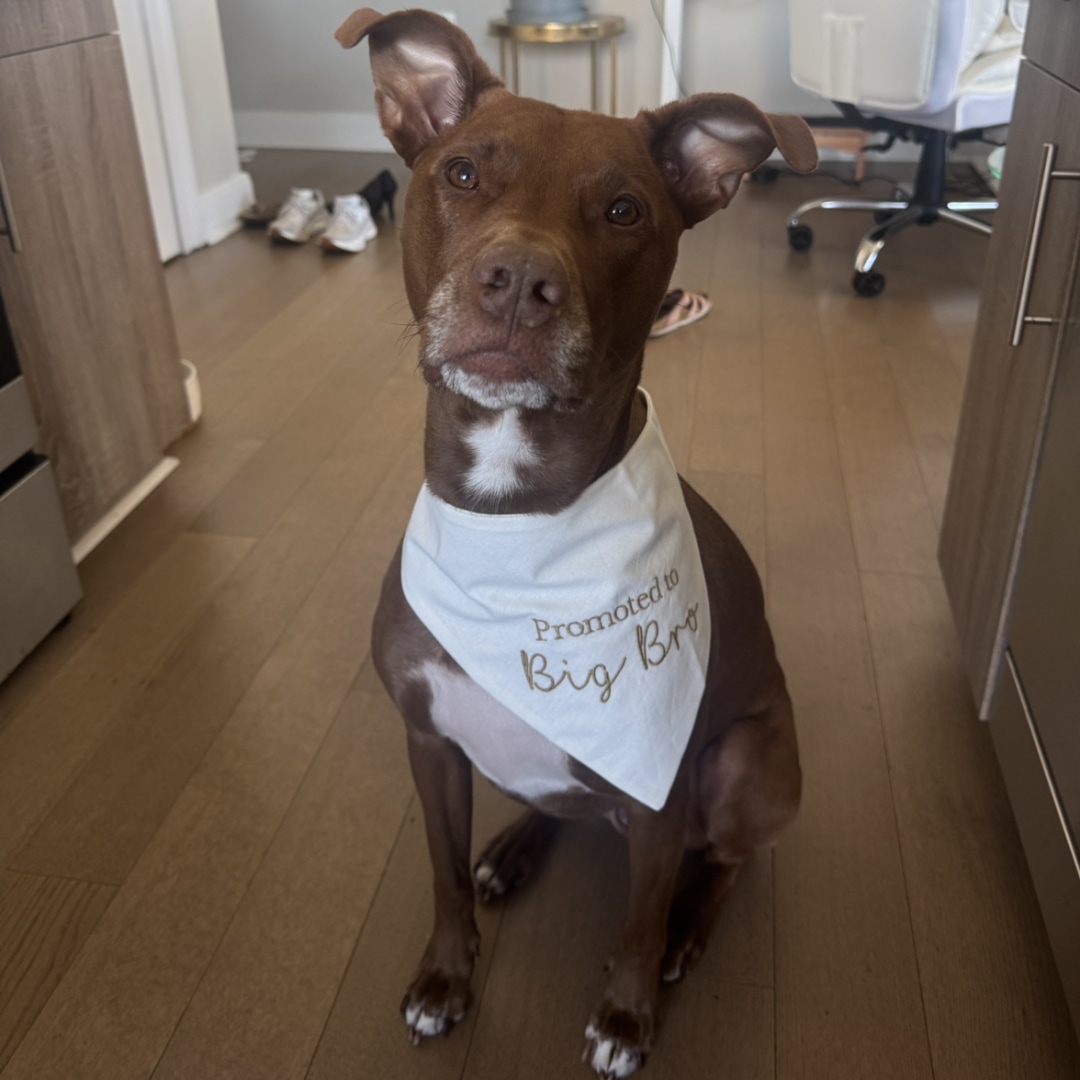 Photo shared by Danielle for their Babylist baby registry.