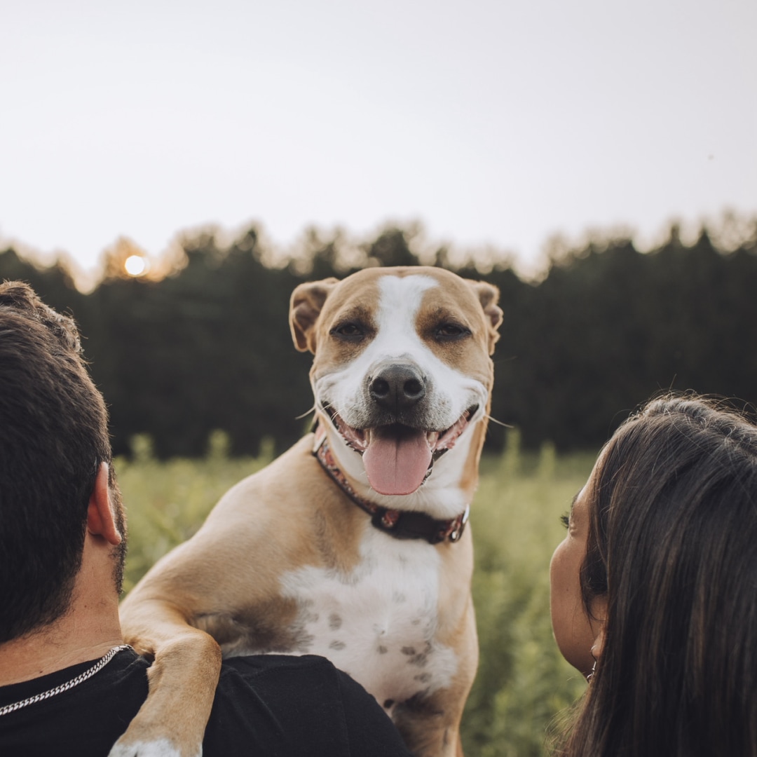 Photo shared by Gaby for their Babylist baby registry.