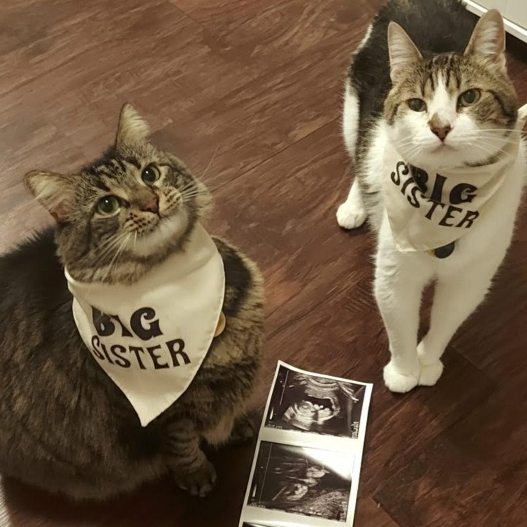 Photo shared by Gage & Dakota for their Babylist baby registry.