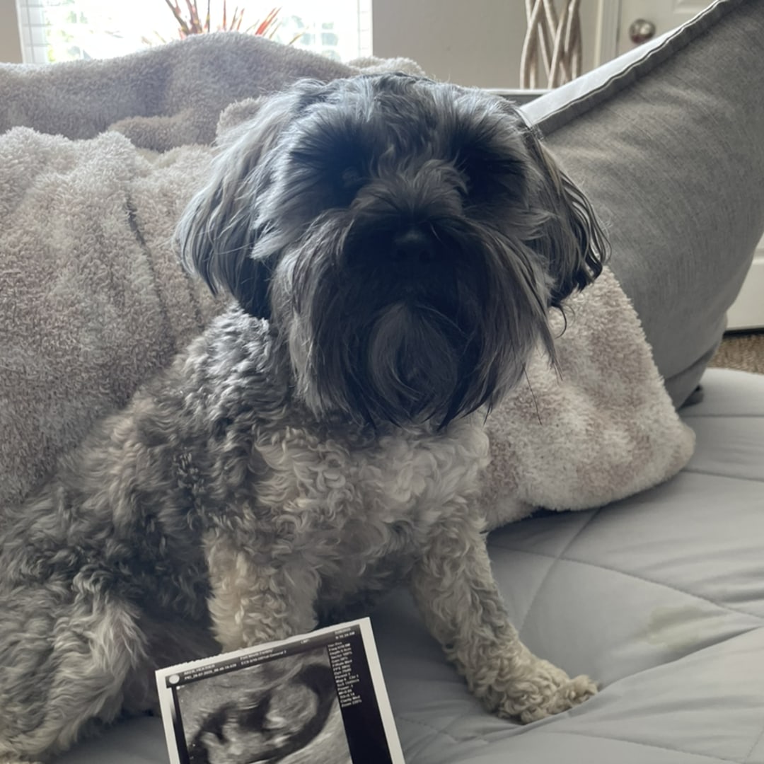 Photo shared by Heather for their Babylist baby registry.
