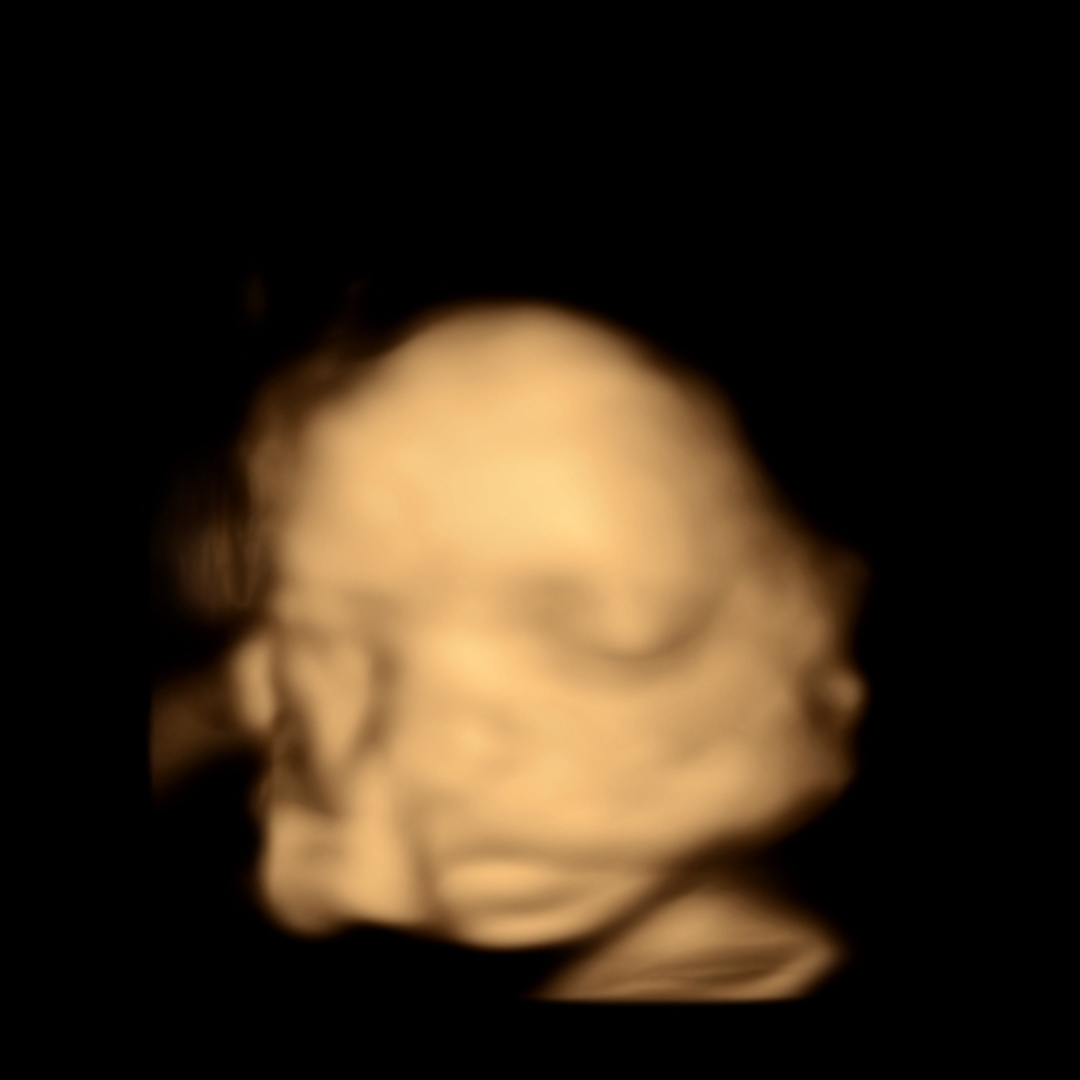 Photo shared by Gabbi for their Babylist baby registry.