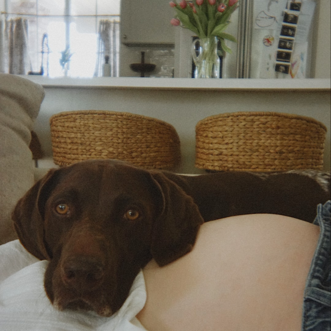Photo shared by McKenna for their Babylist baby registry.