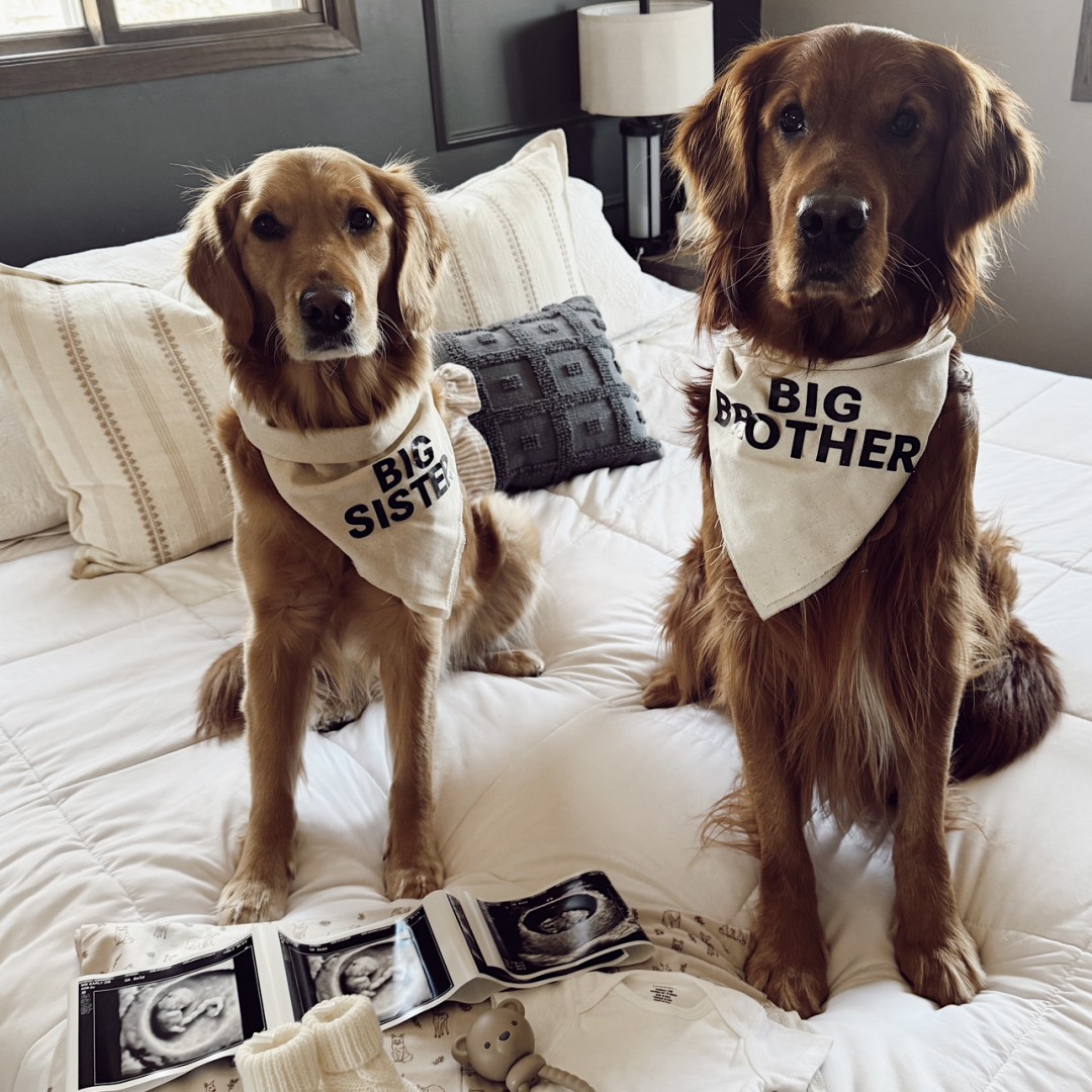 Photo shared by Alex for their Babylist baby registry.