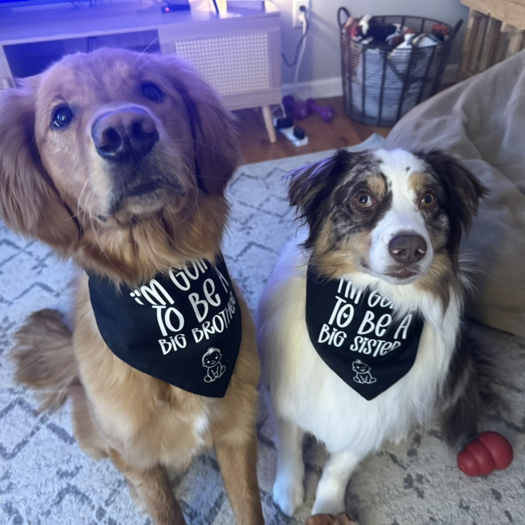 Photo shared by Ally for their Babylist baby registry.