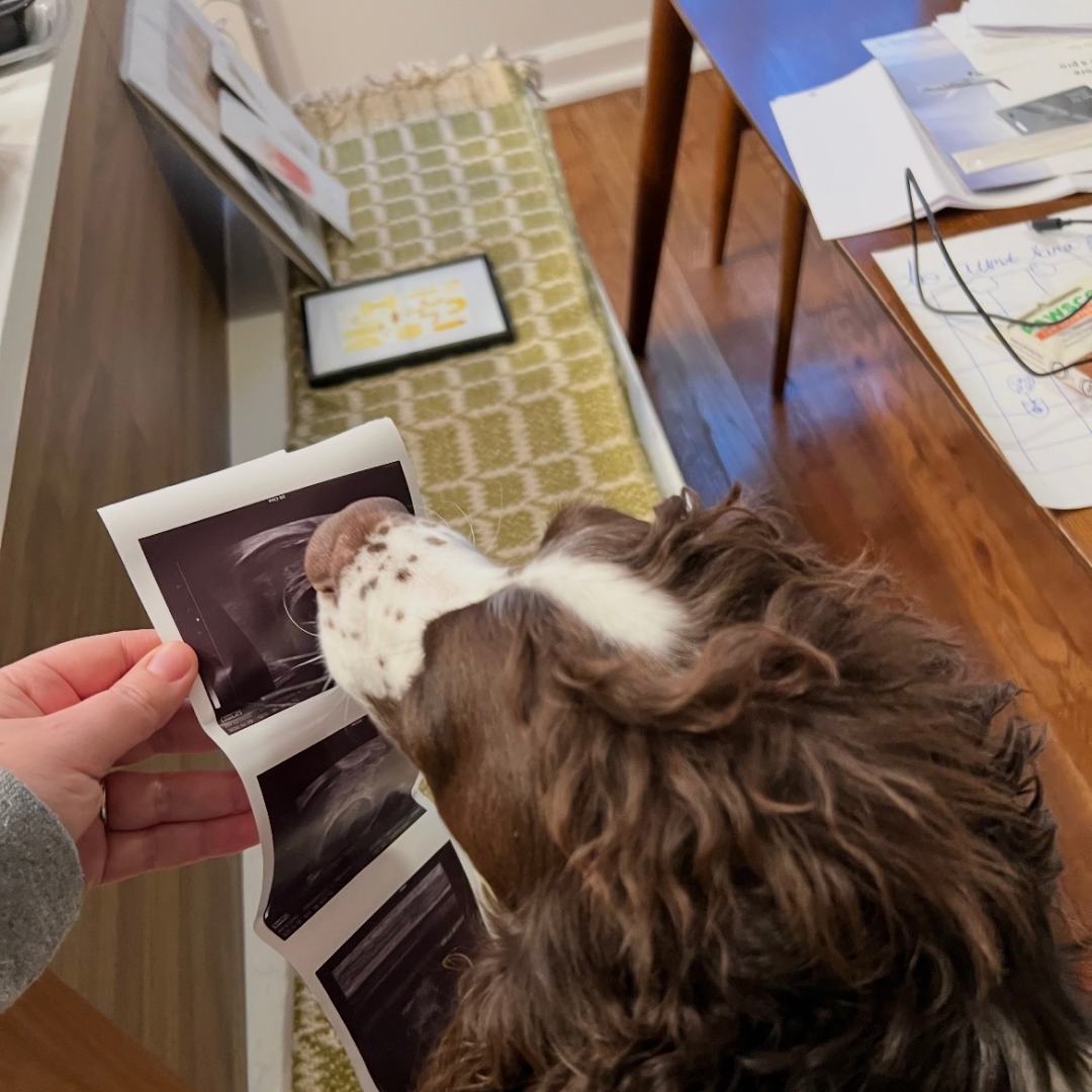 Photo shared by Lara for their Babylist baby registry.