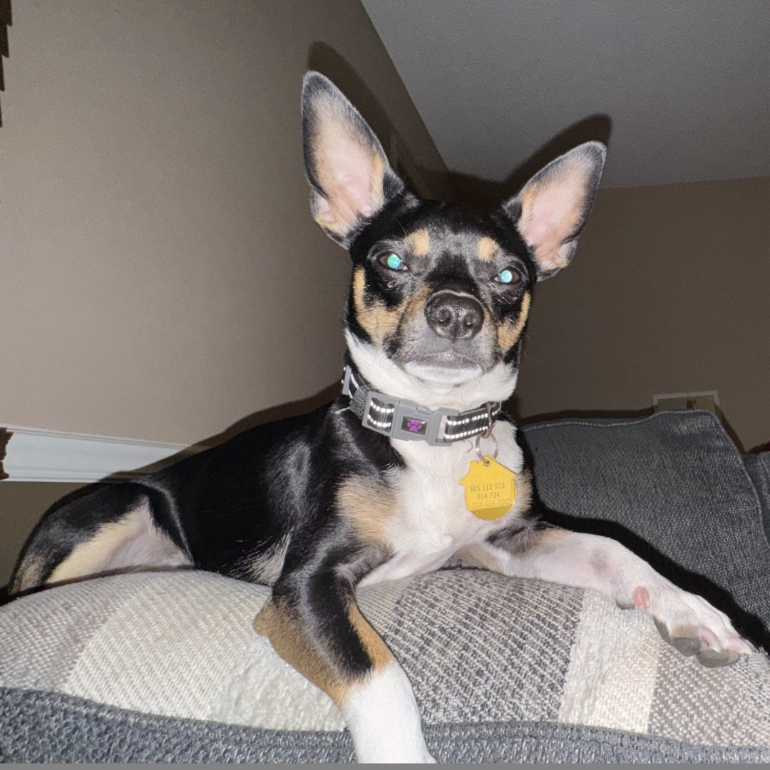 Photo shared by Angelica for their Babylist baby registry.