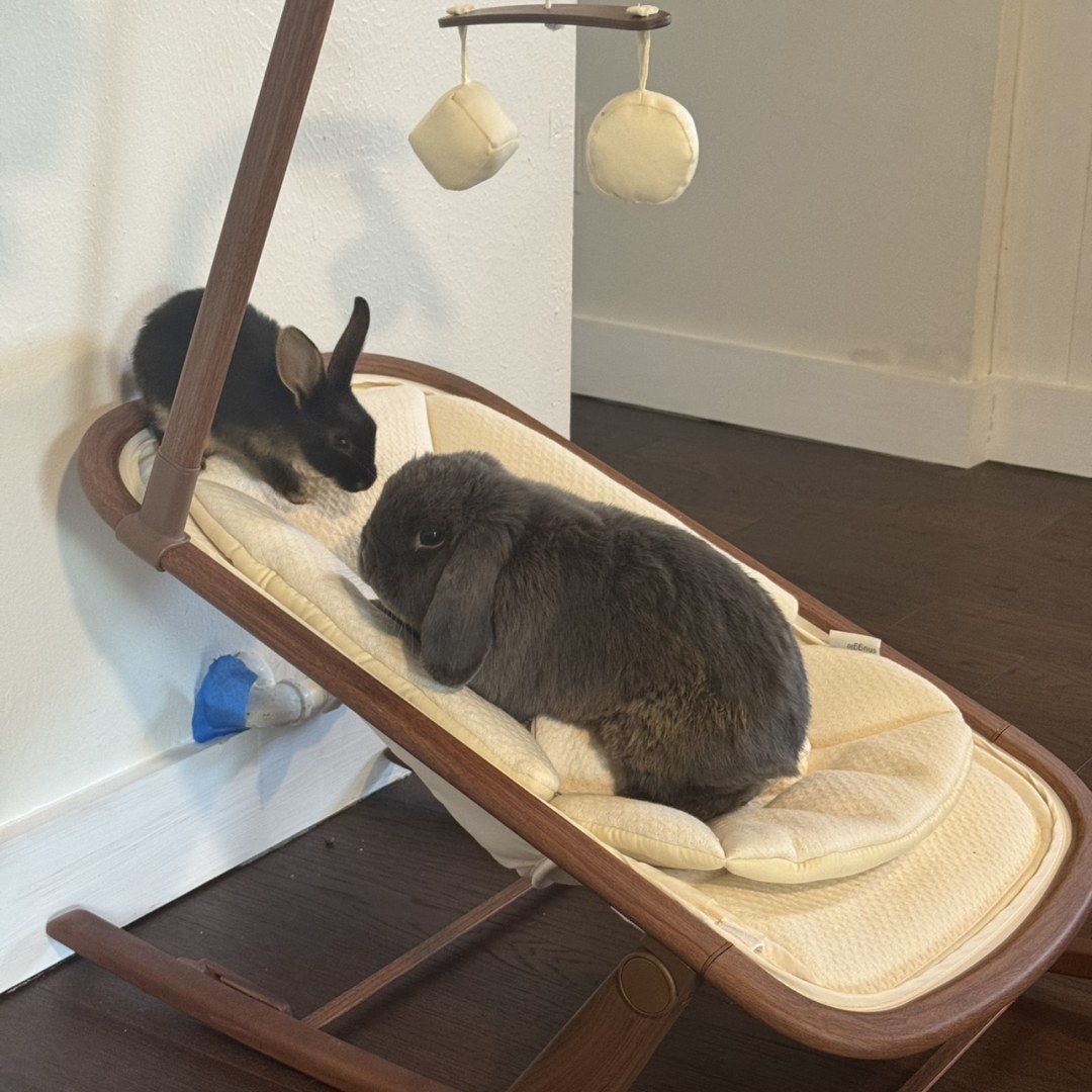 Photo shared by Melanie for their Babylist baby registry.
