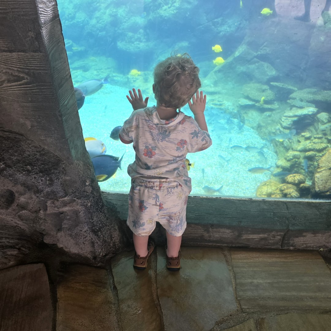 Photo shared by Alana for their Babylist baby registry.