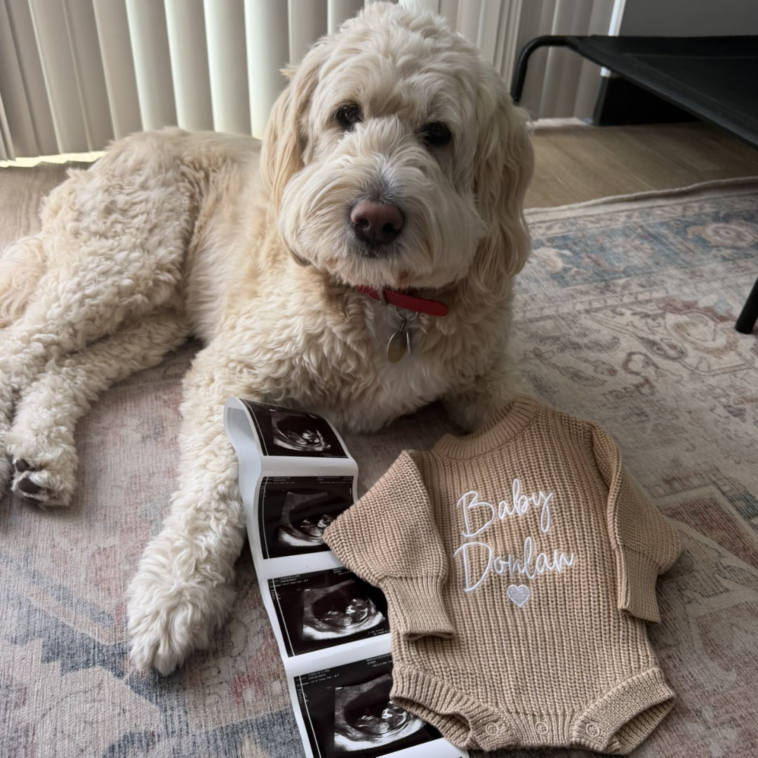 Photo shared by Abigail for their Babylist baby registry.