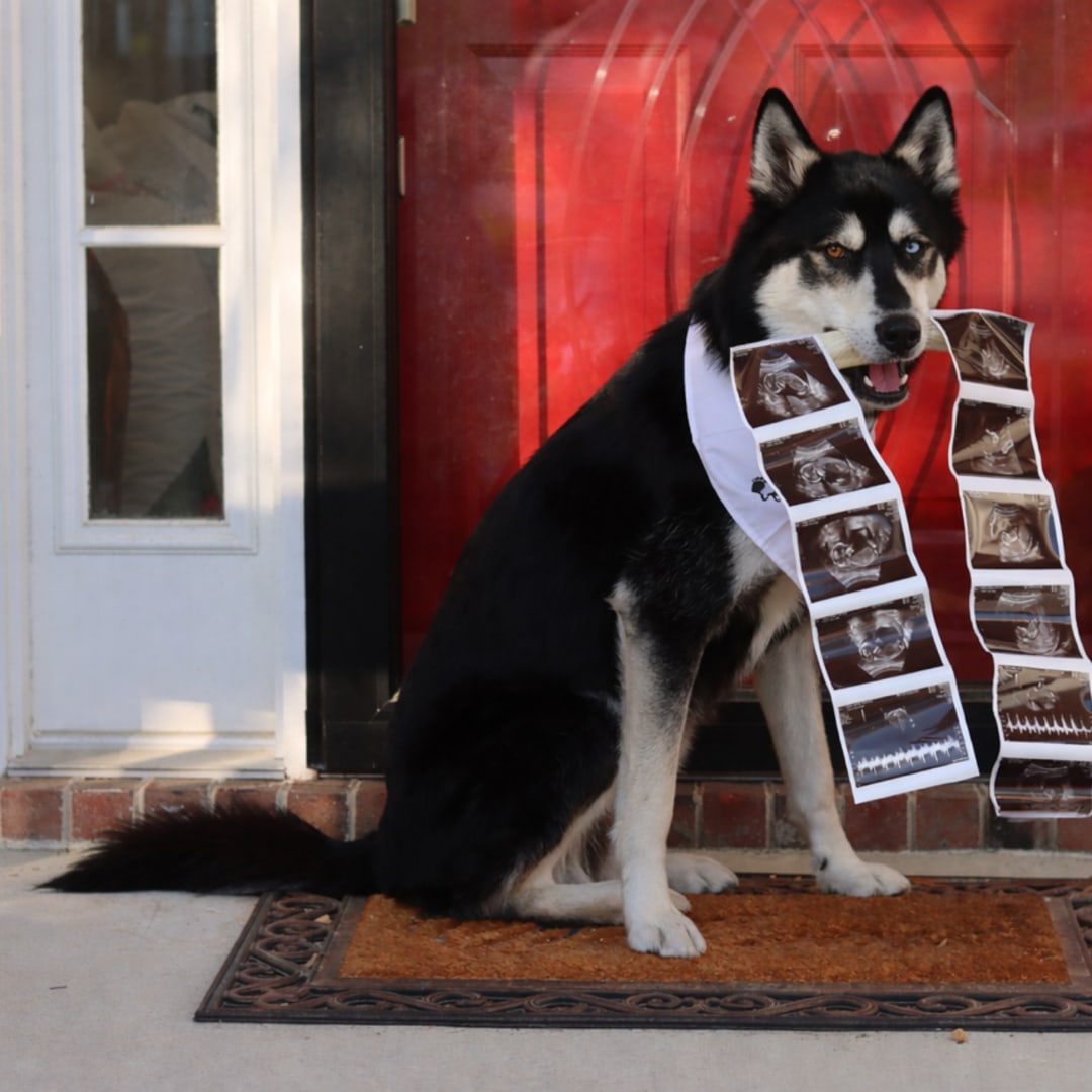 Photo shared by Katie for their Babylist baby registry.